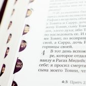 Библия с неканоническими книгами 077 DC TI (2002 год, вишневая, краевые указатели, гибкий переплет)